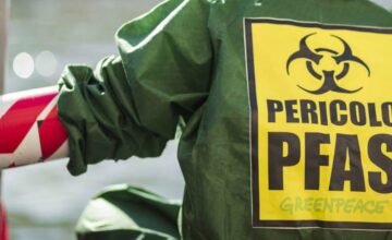 pfas veneto