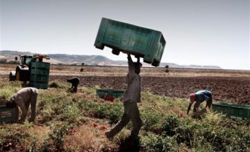 Agricoltura-Caporalato