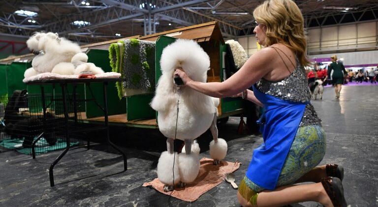 dog show di Crufts